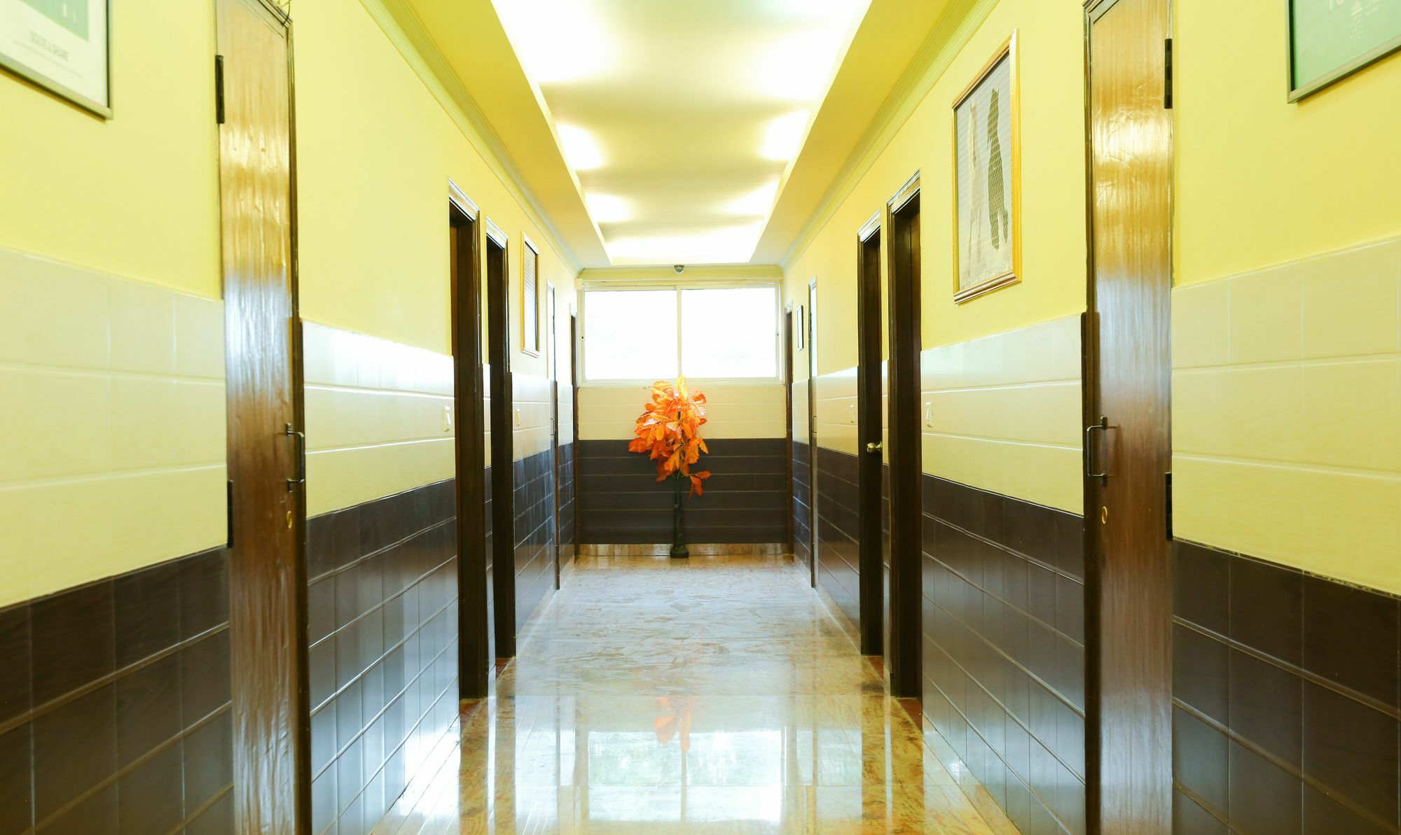 Hotel Treebo Trip Grand Regency à Bangalore Extérieur photo